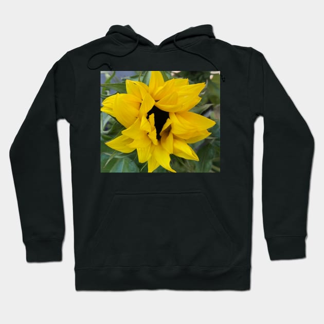 Sunflowers for Peace on Earth: Open the Heart in Solidarity with Ukraine Hoodie by Photomersion